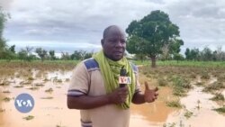 Sanji funti kasara ani kololo Koro marabolo la