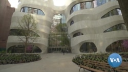 Insects, Butterflies Find Home in Museum's New Wing 