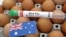A test tube labelled "Bird Flu", eggs and a piece of paper in the colors of the Australian national flag are seen in this picture illustration, Jan. 14, 2023.