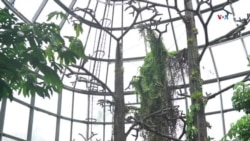 Tropicario del Jardín Botánico de Bogotá, un pulmón verde para la conservación