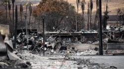 揭謊頻道：中國散播夏威夷大火的陰謀論