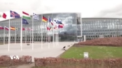 NATO Berdewam e Li Ser Piştgiriya Ukraynayê
