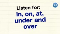 Ingliz tili darslari: Tip Your Tour Guide (2-bosqich) 