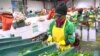 Productores ecuatorianos de flores destacan incremento de exportaciones por Día de la Madre