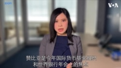 中国拒绝单方面减免赞比亚债务 专家指借贷人达成共识有难度