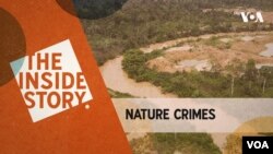 The Inside Story - Nature Crimes | Episode 124 THUMBNAIL horizontal