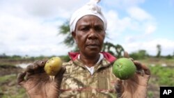 FILE - Farmer Martha Waema, 62, poses for a photo holding a tomato and orange in her 1.2-hectare farm that was left submerged by weeks of relentless rainfall in Machakos, Kenya, May 8, 2024.