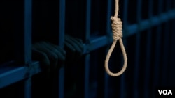 سازمان حقوق بشر ایران اعلام کرد که در سه ماه پایانی سال ۲۰۲۴، به‌طور میانگین روزانه پنج نفر در ایران اعدام شده‌اند. 