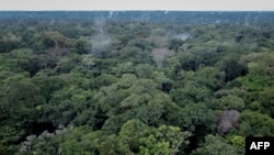 FILE - This aerial view shows trees in the Yangambi forest, 100 km from the city of Kisangani, in the province of Tshopo, northeast of the Democratic Republic of Congo, Sept. 2, 2022. 