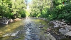 Արվեստագետ Մայքլ Գրաբը պատմում է, թե ինչպես են քարերից ծնվում իր քանդակները