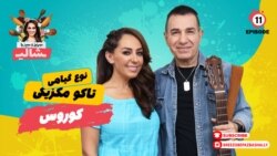 بریز و بپز با شالی - کورس و تاکو مکزیکی از نوع گیاهی