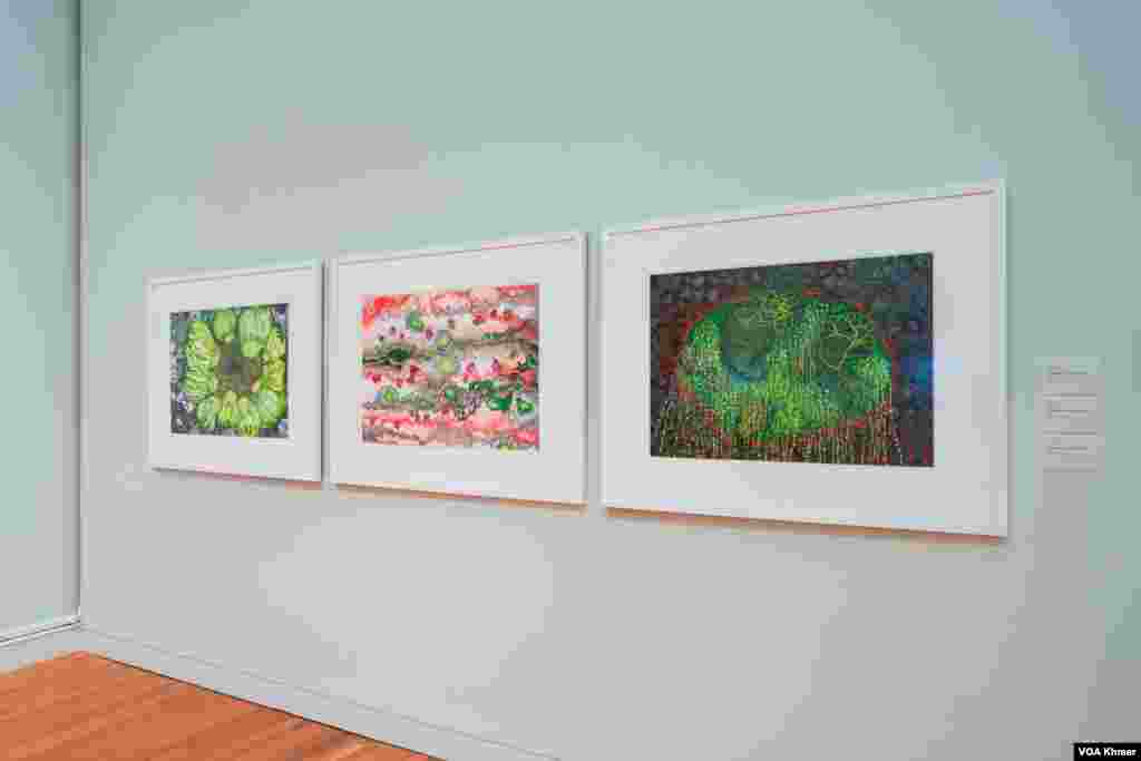 ផ្ទាំងគំនូរទាំងនេះត្រូវបានដាក់តាំងពិព័រណ៍នៅក្នុងវិចិត្រសាលនៃសាកលវិទ្យាល័យ Michigan ក្នុងក្រុង Ann Arbor ថ្ងៃទី ៥ ខែមេសា ឆ្នាំ២០២៤។ (នីណា យ៉េង/វីអូអេ)