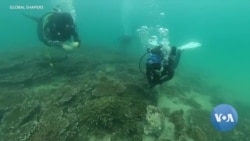 VOA Asia Weekly: Restoring Coral Reefs to Help Save the Planet
