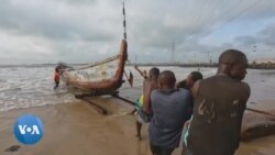 Ghana : la pêche intensive fait réagir le gouvernement qui impose des réglementations