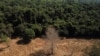 Brazil Forest Bill Aims to Unlock Carbon Credit Market