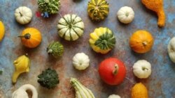 Penjualan Makanan dan Minuman Rasa Labu Tembus Setengah Miliar Dolar