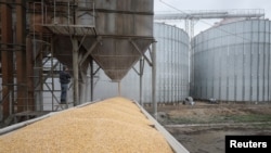 A load of corn is poured into a truck, at a grain storage facility in the village of Bilohiria, Khmelnytskyi region, Ukraine, April 19, 2023.