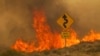 Wildfire Sweeping Through California Desert Threatens Iconic Joshua Trees