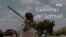 Guerreras del softball thumbnail