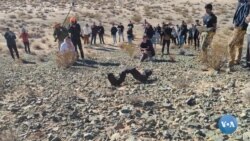 Oydagi tadqiqotlar uchun yaratilgan ilonsimon robot