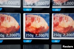 JAPAN-BEAR/VENDING MACHINE