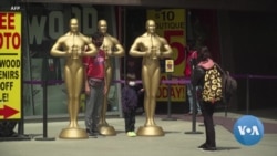 Anticipation Builds for Hollywood's Highest Honor: Oscars 