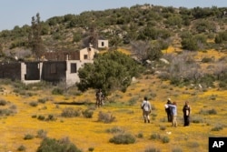 Botanists and citizen scientists armed with the iNaturalist app on their smartphones record the biodiversity along the U.S.-Mexico border in the Ejido Jacume in the Tecate Municipality of Baja Calif., Mexico, April 19, 2024.