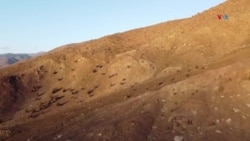 Agropelo, una experiencia chilena a favor del ahorro de agua