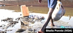 A young man carries cow intestines to be washed in the Nile River, in Bor, Jonglei State, South Sudan.