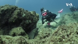 Женската заедница за нуркање ги предизвикува површинските претпоставки за пол, раса и возраст