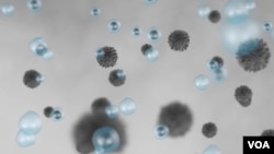 อนุภาคระดับจุลภาค