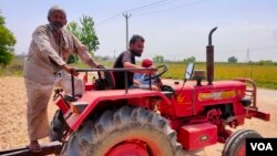 Farmers in Uttar Pradesh, India, work in a sugar cane field, April 3, 2024. (Anjana Pasricha/VOA)