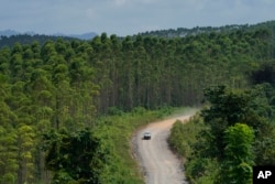 Sebuah mobil melaju di jalan tanah di lokasi pembangunan ibu kota baru di Penajam Paser Utara, Kalimantan Timur, 8 Maret 2023. (Foto: AP/Achmad Ibrahim)