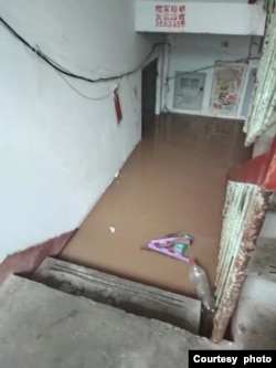 涿州一涿州职业学院陈姓退休教师女儿发来楼道被淹照片。（2023年8月2日）