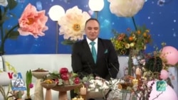 تجدید خاطرات با احمد بهارلو در «نوبهار»