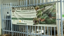 Urban Farming in Kenya Aims to Improves Food Security in Cities 