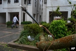 A man walks by a lamp post and trees damaged by Typhoon Saola in Heng Fa Chuen, Hong Kong, on Sept. 2, 2023.
