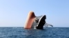 The Rubymar cargo ship is seen partly submerged off the coast of Yemen, March 7, 2024.