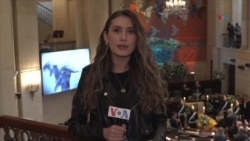 Inicia en el Congreso de Colombia los homenajes al maestro Fernando Botero