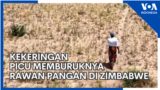 Kekeringan Picu Memburuknya Rawan Pangan di Zimbabwe