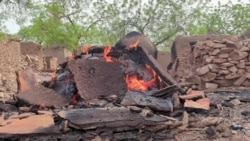 Basigibaliya Badiangara mara kono