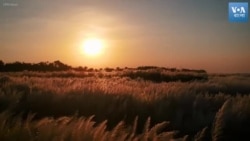 দূর্গাপূজা প্রতিমার গয়না