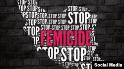 یک نهاد حقوق زنان در آمریکا از ثبت ۱۵۶ مورد «زن‌کشی» در ایران در سال ۲۰۲۳ خبر داد