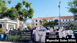 Anti-hunting bill protestors in front of the British High Commission in Gaborone, Botswana, March 12, 2024.