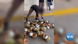 Calls for US-Mexico Military Cooperation to Address Fentanyl Crisis