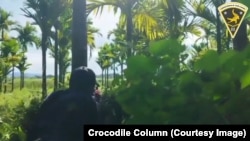 Crocodile Column (ဒေသခံကာကွယ်ရေး)အဖွဲ့က တင်ထားတဲ့ ပုလောမြို့နယ် စစ်ကောင်စီတပ်နဲ့ ပြည်သူ့ကာကွယ်ရေးတပ်ဖွဲ့တို့ရဲ့ တိုက်ပွဲမှတ်တမ်း (ယခင်မှတ်တမ်းဓာတ်ပုံ)