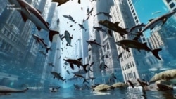 ຄວາມກ້າວໜ້າຫຼ້າສຸດ ຂອງເອໄອ: ວິດີໂອຄວາມລະອຽດສູງ ທີ່ສະເໝືອນຈຶງ ທີ່ສ້າງຂຶ້ນມາຈາກຄໍາເວົ້າພຽງແຕ່ສອງສາມຄໍາ