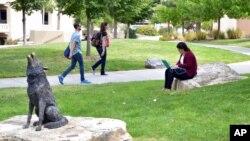FILE - In this Sept. 21, 2015, photo, a student works on her laptop on the campus of the University of New Mexico near a statue of the school's mascot, the Lobo, in Albuquerque.