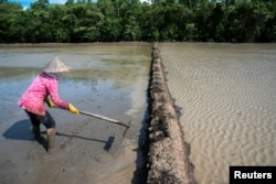 FILE - A farmer prepares a rice field in Mekong Delta's Soc Trang province, Vietnam, May 25, 2022.