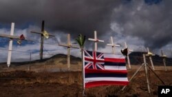 A Hawaiian flag and crosses honoring the victims killed in a recent wildfire are posted along the Lahaina Bypass in Lahaina, Hawaii, Aug. 21, 2023. 